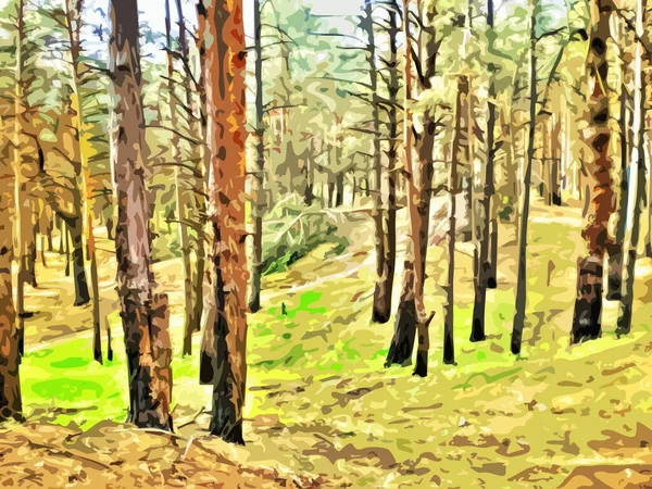 Forêt Pins Printemps — Image vectorielle