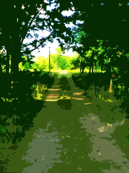 夏天森林里落叶树木间的路 — 图库矢量图片