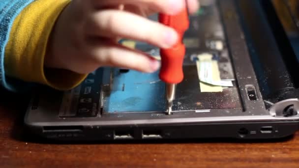 儿童拆卸膝上型计算机 — 图库视频影像