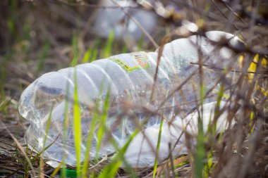 Çevre kirliliği. Gölde çöp.
