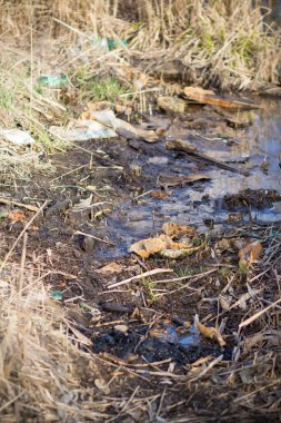 Çevre kirliliği. Gölde çöp.