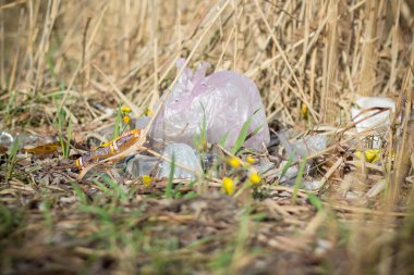 Çevre kirliliği. Gölde çöp.
