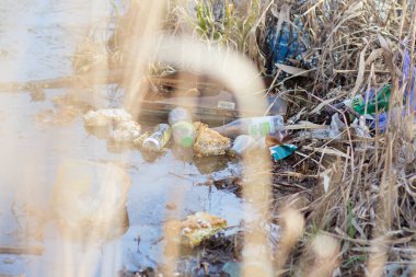 Çevre kirliliği. Gölde çöp.