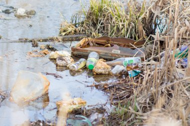 Çevre kirliliği. Gölde çöp.