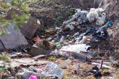 Çevre kirliliği. Ormanda çöp.