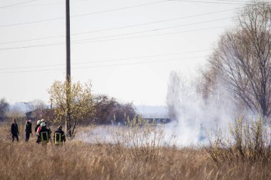 Şehrin yakınındaki çayırlarda yangın çıktı. Troyeeshina, Kiev