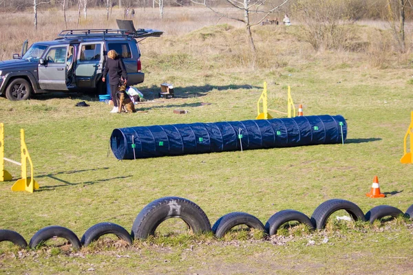 2021 Kiev Ucrania Entrenamiento Perros Naturaleza Campo Entrenamiento Para Perros — Foto de Stock