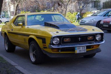 Sarı yaşlı mustang. Bahçede antika bir araba.