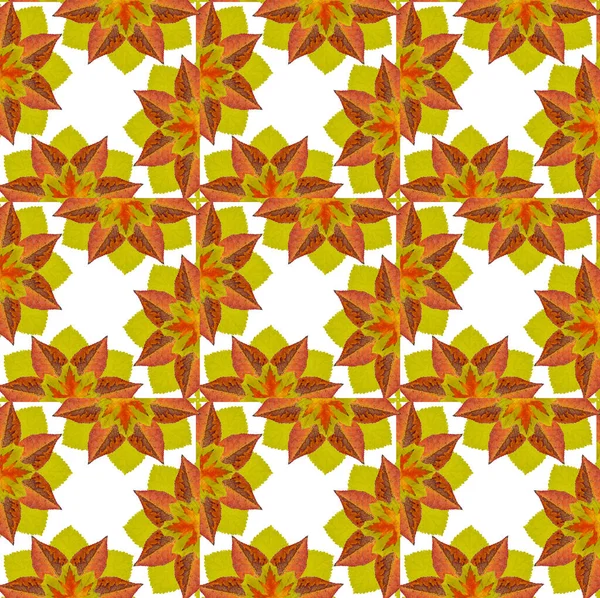 Pattern Photographs Autumn Leaves Kaleidoscope — Stock Photo, Image
