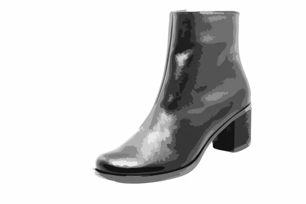 Women Autumn Boots — Stock Vector