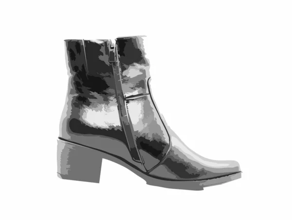 Women Autumn Boots — Stock Vector
