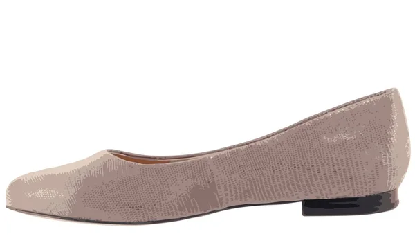 Damen Sommerschuhe Mit Niedrigen Absätzen Damen Sommer Schuhe Mit Niedrigen — Stockvektor