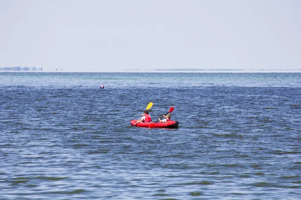 Sup Surf Verão Mar Kiev Diversão Para Fãs Deste Esporte — Fotografia de Stock