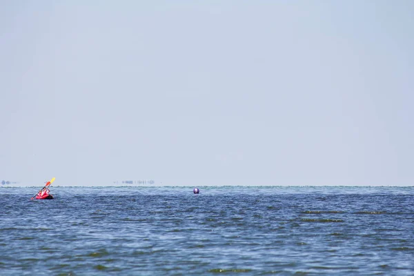 Yazın Kiev Denizi Nde Sup Sörfü Sporun Hayranları Için Eğlence — Stok fotoğraf