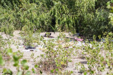 Göl kenarındaki sahilde çevre kirliliği