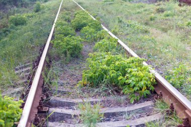 Vasilkov, Kiev bölgesindeki Sovyetler Birliği döneminden terk edilmiş demiryolu.