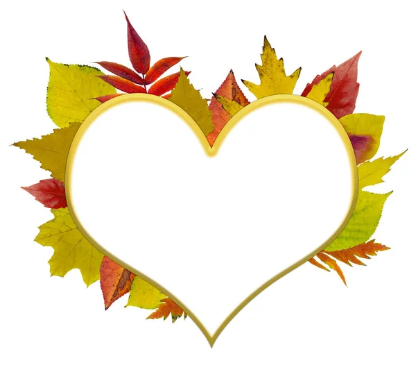 Herz Aus Herbstblättern Auf Weißem Hintergrund — Stockfoto