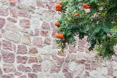 Düz olmayan taşların masonluğunun dokusu.