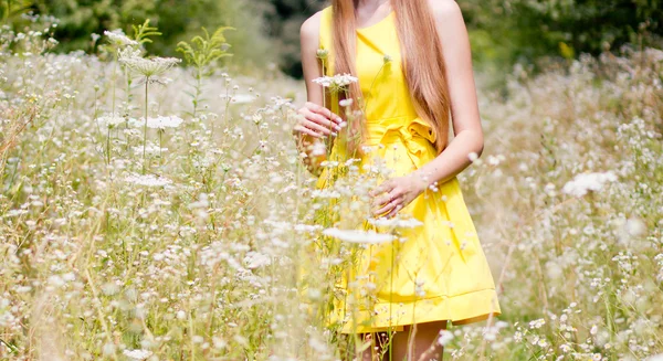 Chica en el prado de flores — Foto de Stock