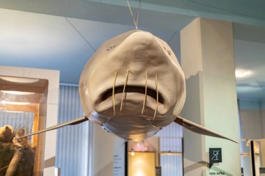 Exhibits at the Slovak National Museum in Bratislava