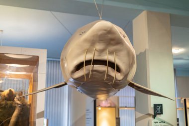 Exhibits at the Slovak National Museum in Bratislava