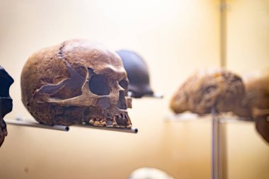 Exhibits at the Slovak National Museum in Bratislava