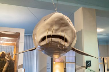 Exhibits at the Slovak National Museum in Bratislava