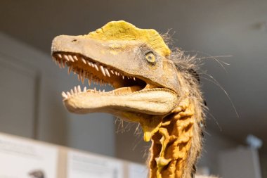 Exhibits at the Slovak National Museum in Bratislava