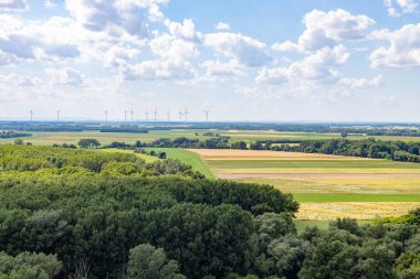 Slovakya 'da yazın ekilen tarlalar
