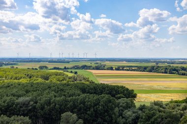 Slovakya 'da yazın ekilen tarlalar