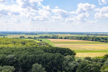 Slovakya 'da yazın ekilen tarlalar