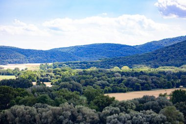 Slovakya 'nın yeşil ormanları yazın