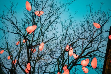 Akşamları Slovakya 'da Noel pazarı