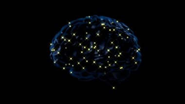 Beyin nöronal aktivite