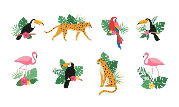 Lindo Pájaro Tucán Loro Flamenco Leopardo Con Hojas Exóticas Tropicales — Vector de stock