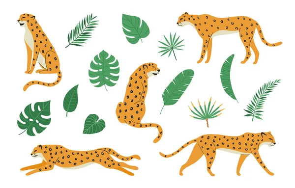 Набір Гепардів Або Леопардів Тропічних Екзотичних Листя Ізольовані Білому Тлі — стоковий вектор