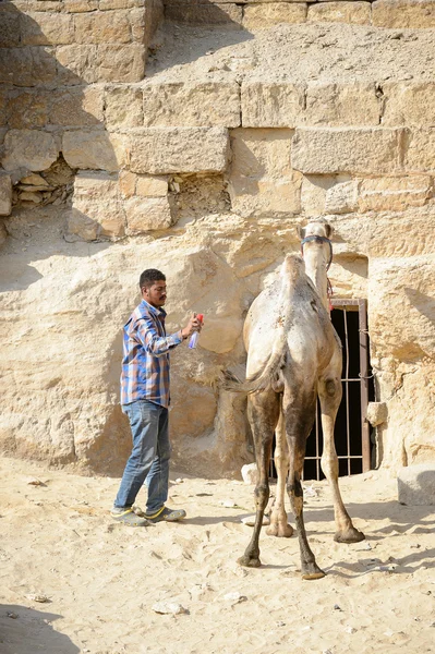 Giza nekropol, Mısır — Stok fotoğraf