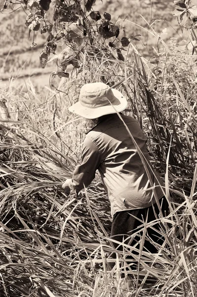 Real people in Vietnam, in black and white