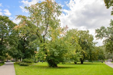 mimari, riga, Letonya