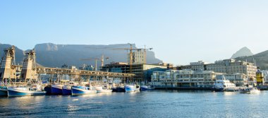 Liman Cape Town, Güney Afrika