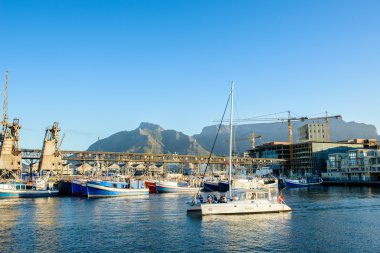 Liman Cape Town, Güney Afrika