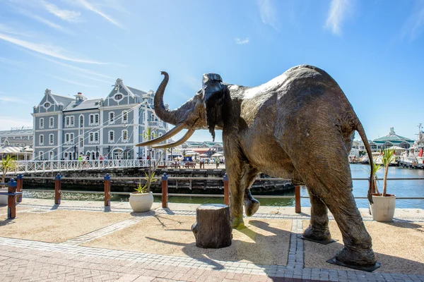 Hafen von Kapstadt, Südafrika — Stockfoto