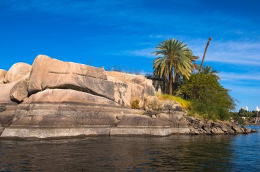Doğa Mısır Nil Nehri'nin