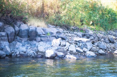Doğa Mısır Nil Nehri'nin