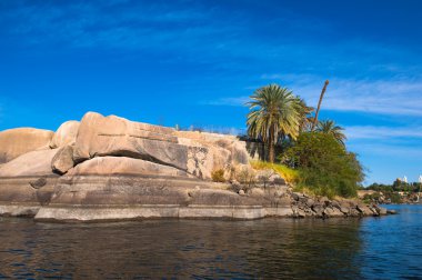 Doğa Mısır Nil Nehri'nin