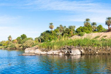 Doğa Mısır Nil Nehri'nin
