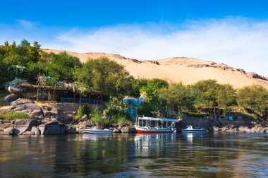 Doğa Mısır Nil Nehri'nin