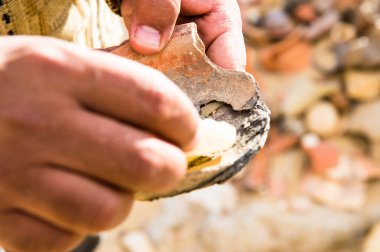 Tapınağı, Büyük İskender, Mısır kalıntıları