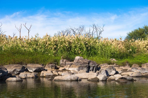 Aard van de rivier de Nijl in Egypte — Stockfoto