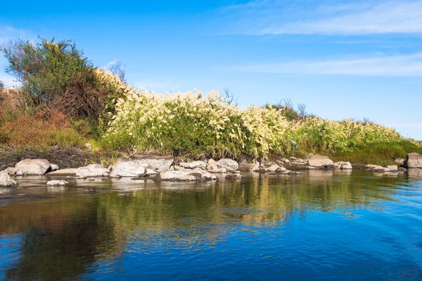 Aard van de rivier de Nijl in Egypte — Stockfoto